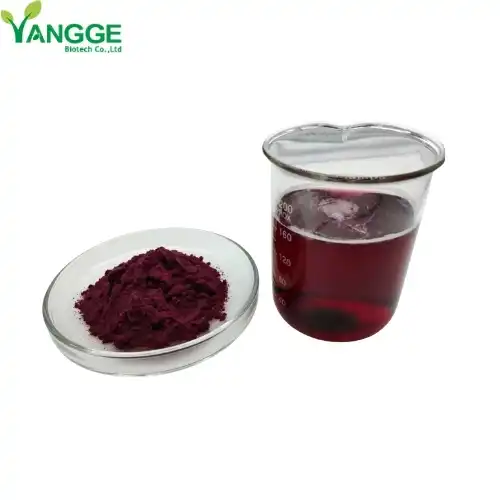 What are the health benefits of anthocyanins in black carrots